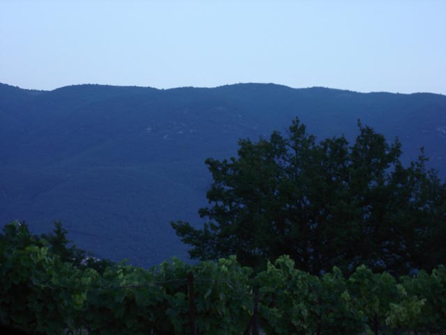 BLUE LUBERON