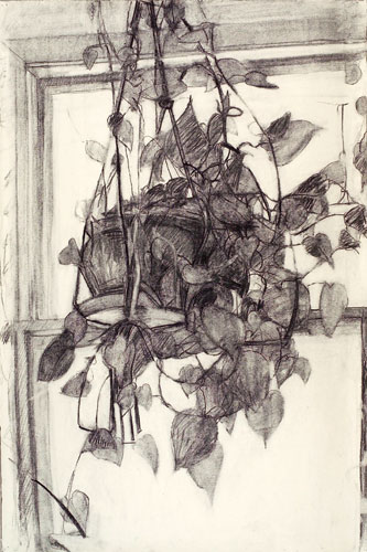plant
