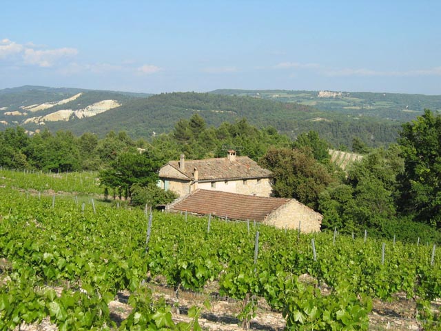 view of the house