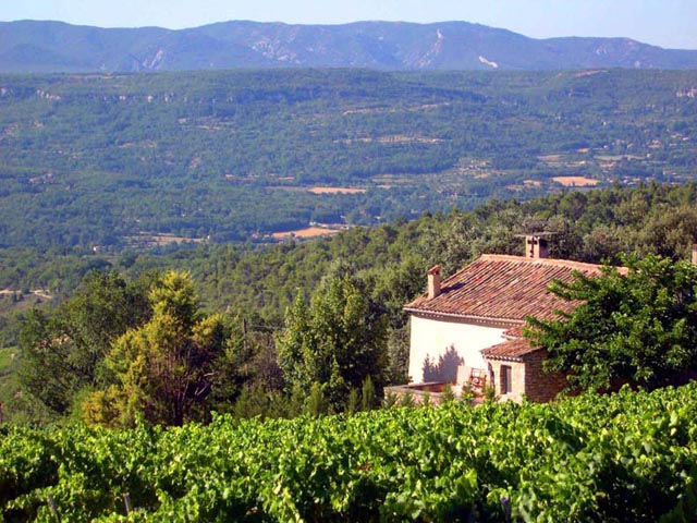 view-of- the-house